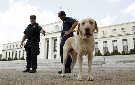 Police officers stand with their dog outside the Federal Reserve patrol in front of the building with their dog Brodie in Washington in this September 1, 2015, file photo. REUTERS/Kevin Lamarque/Files