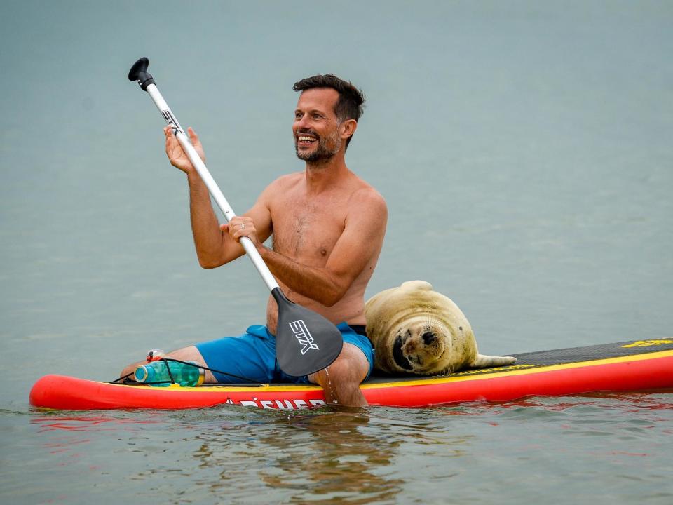 Sammy gets close to a paddleboarder: Getty