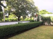 <p>The site is well-maintained. As the listing states, the real appeal of this rental is its close proximity to the restaurants, bars and shopping of Managua. </p>