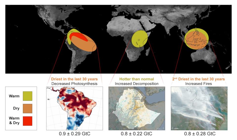 The last El Niño affected the amount of CO2 that Earth's tropical regions released into the atmosphere, and in each of the three tropical regions observed, the results were slightly different. <cite>NASA/JPL-Caltech</cite>