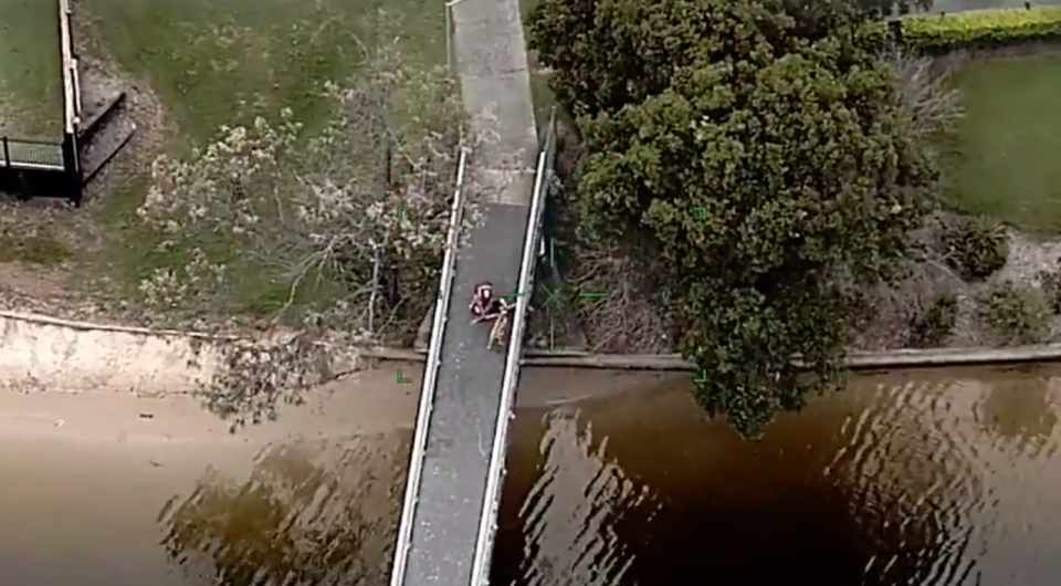 Queensland Police footage shows a dog walker tackling a suspect to the ground on a bridge.