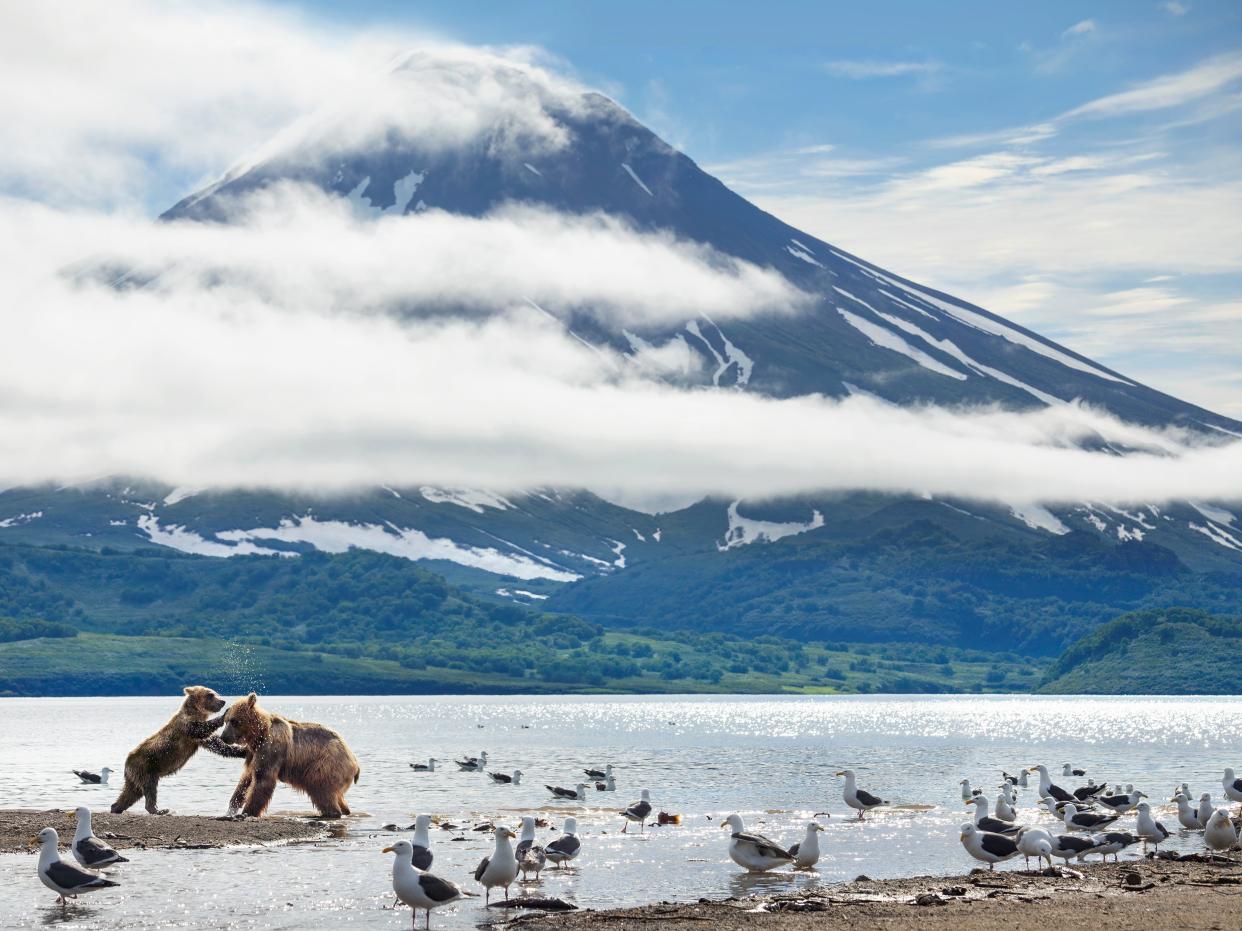 <p>Volcanoes are the subject of one of the episodes in the new David Attenborough series, A Perfect Planet</p> (Photography Toby Nowlan (c) Silverback Films )