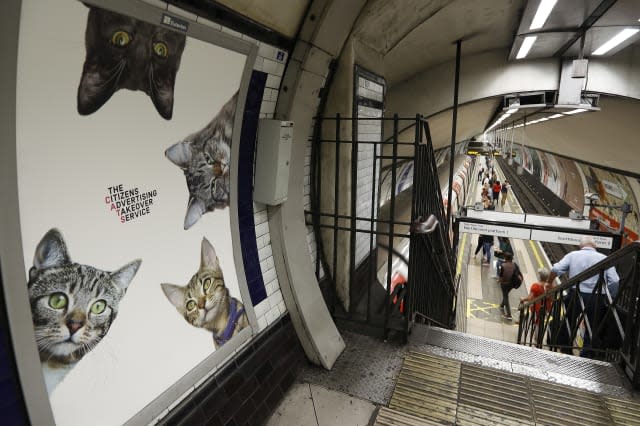 Clapham Common tube station overtaken by cats