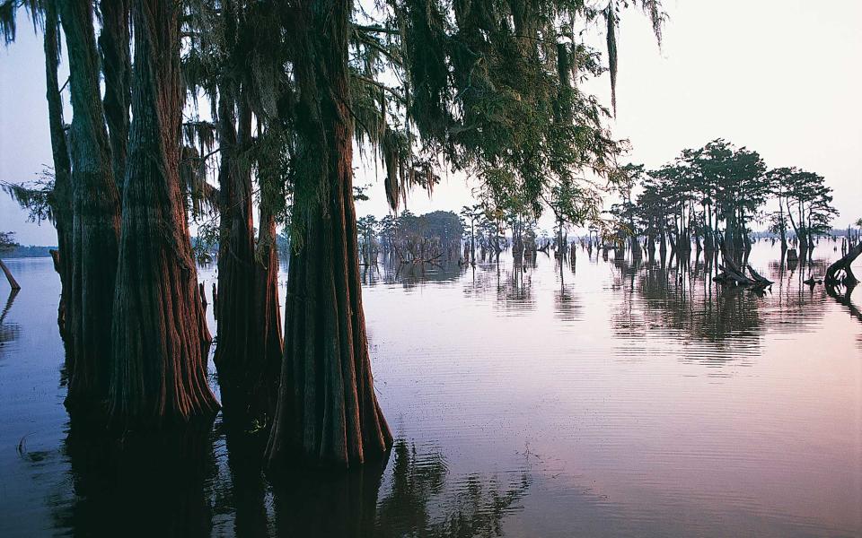 <p>Upon entering the state of Louisiana, it can almost feel like you’re entering a different country. The smells, sights, and culture are distinctly Louisianan. Containing 14 different parishes in south-central Louisiana, Atchafalaya National Heritage Area encompasses the state’s very unique Cajun heritage. Of course, there’s an aesthetic component to the National Park Service’s selection of land, too, as the landscapes range from wetlands and wildlife refuges to marshes. While here, be sure to take a boat tour through the swamps of the Bayou.</p>