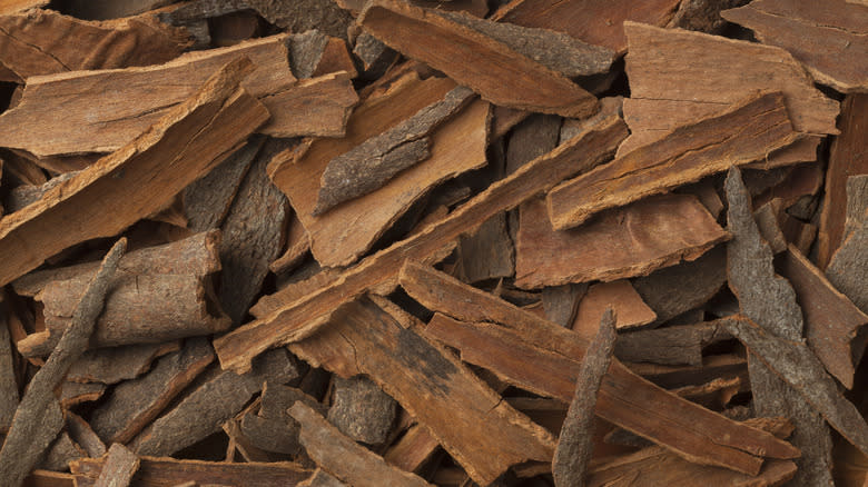 pieces of cinnamon bark