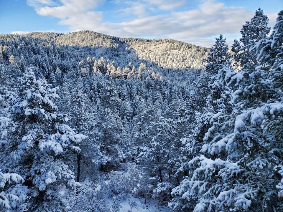 Scenic route view of snow on trees within the Lincoln Nation Forest captured during the winter of 2023.