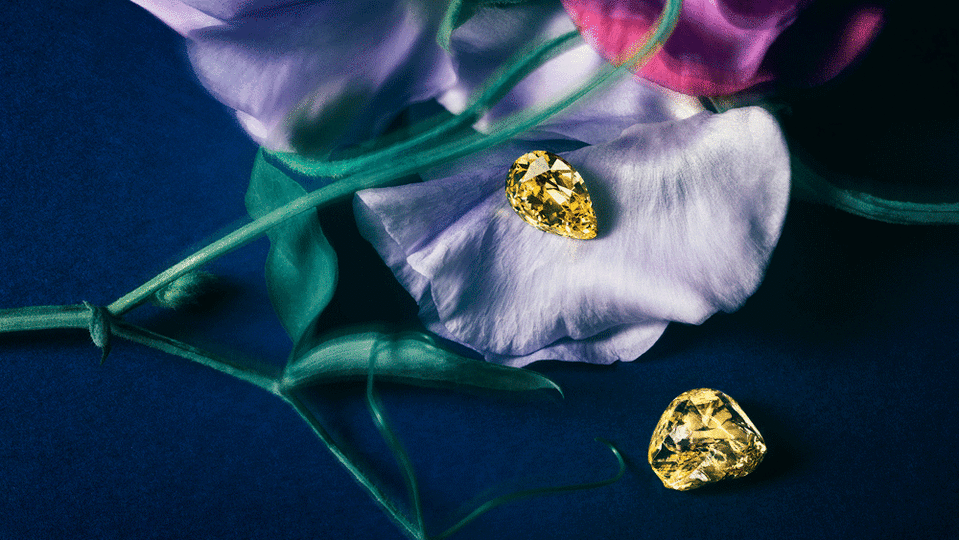 Maison Mazerea Yellow Diamonds - Credit: Maison Mazerea