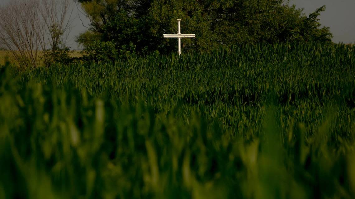 A metal cross towers over a field of corn July 22 in rural Beaucoup, Illinois.