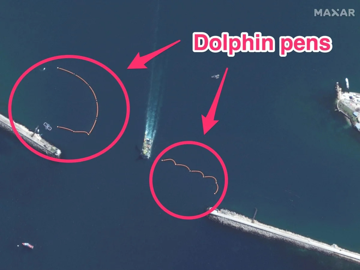 Satellite photos show militarized dolphin pens at a major Russian naval base in ..