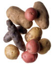 <div class="caption-credit"> Photo by: Brian Hagiwara/Getty Images</div><b>Potatoes</b> <br> Refrigeration adversely affects their flavor, so store in the pantry in paper bags (plastic bags trap moisture and speed decay). Most varieties should last three weeks. <br> <br> <b>Also See</b>: <a rel="nofollow noopener" href="http://www.realsimple.com/home-organizing/organizing/kitchen/purge-pantry-00000000038421/index.html?xid=yshi-RS-100812-dont-refrigerate" target="_blank" data-ylk="slk:Purge Your Pantry;elm:context_link;itc:0;sec:content-canvas" class="link ">Purge Your Pantry</a>