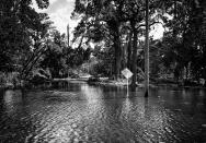 <p>A flooded neighborhood in the aftermath of Hurricane Irma in Bonita Springs, Fla. (Photo: Holly Bailey/Yahoo News) </p>