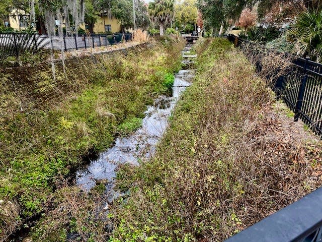 Much of the Sweetwater Branch creek is little more than a weed-choked drainage ditch. The Sweetwater Branch Greenway Loop would rehabilitate the creek while connecting central Gainesville neighborhoods to downtown.