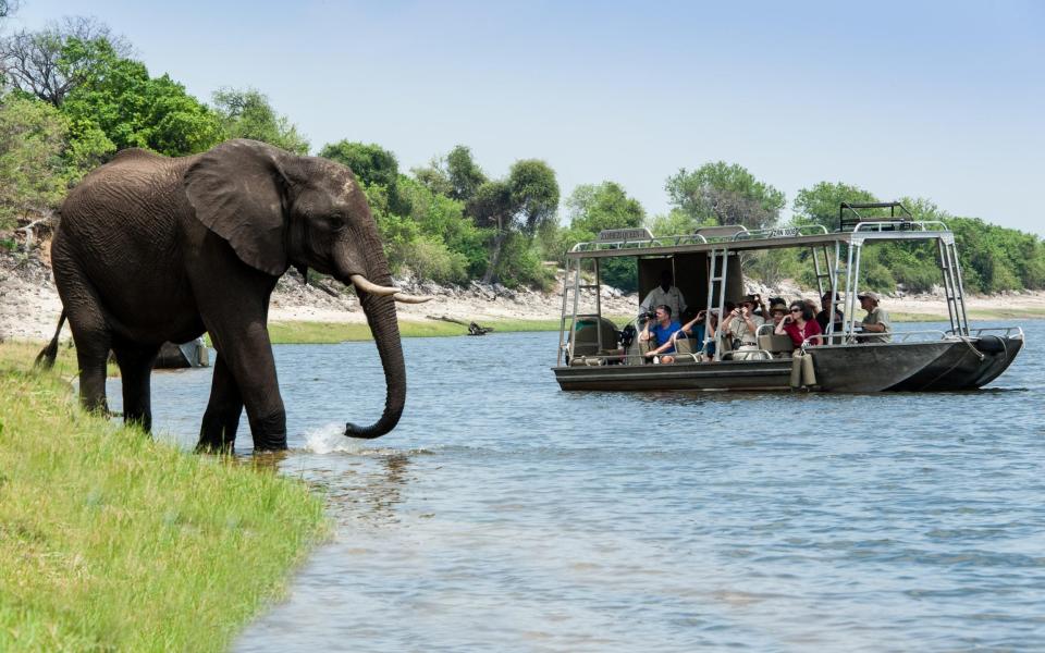 Zmabia river cruise holidays Slow travel grey guide authentic travel experiences trips for over 60s summer 2022 - Zambezi Queen
