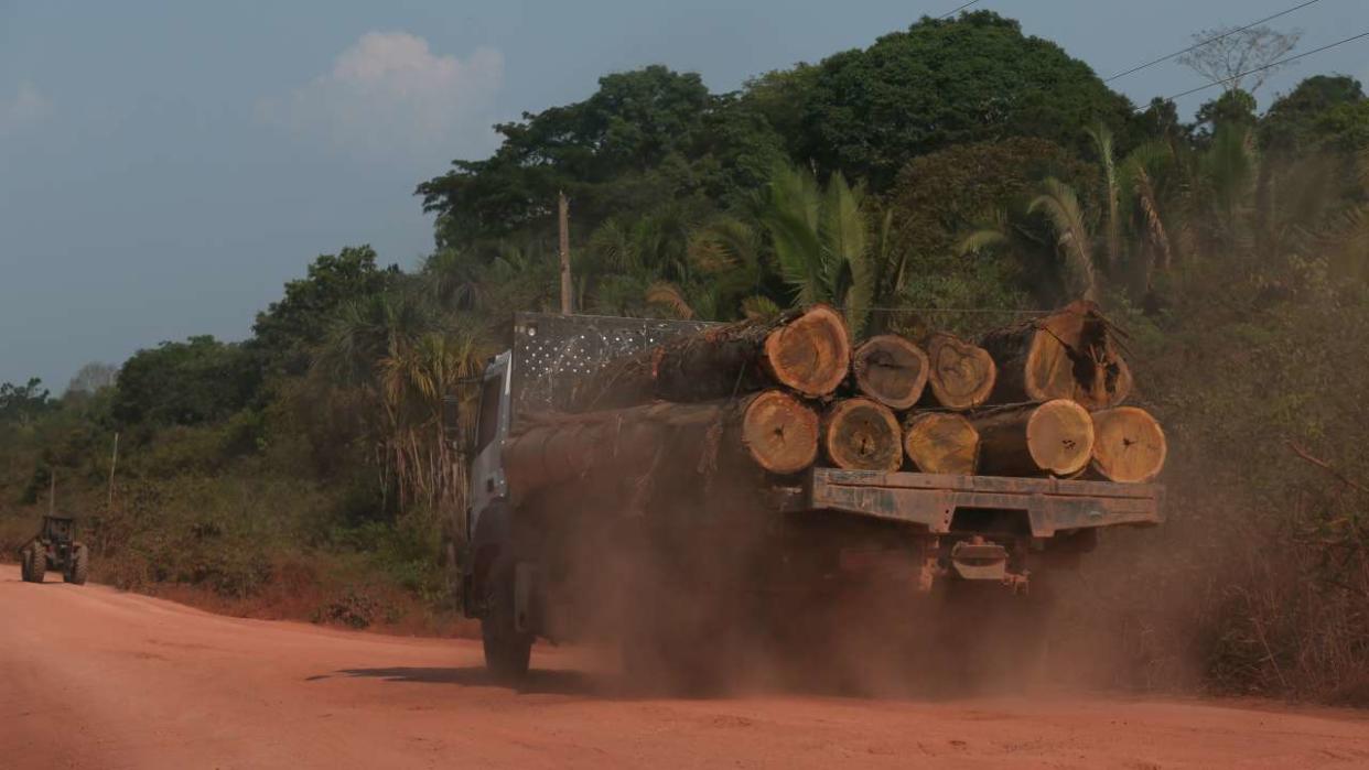 A trucks drives carrying timber along the BR-230 (Transamazonica) highway in Manicoré, Amazonas state, Brazil on September 22, 2022. (Photo by MICHAEL DANTAS / AFP)