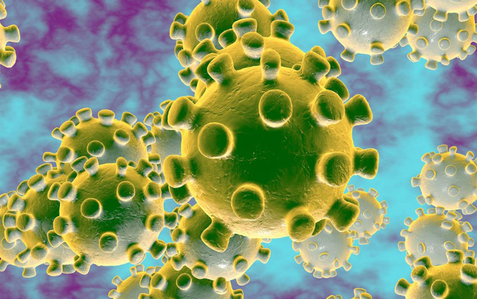 ▲世界各國針對新型冠狀病毒持續進行研究。（圖／翻攝自推特）