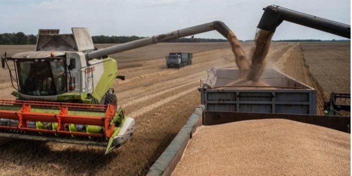 Harvesting in Kyiv region, beginning of August 2022