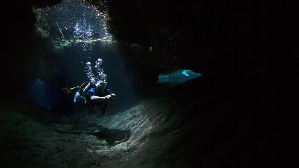 Divers can explore the underwater cave in Media Luna lagoon near Rioverde. - Erich Schlegel/Alamy Stock Photo