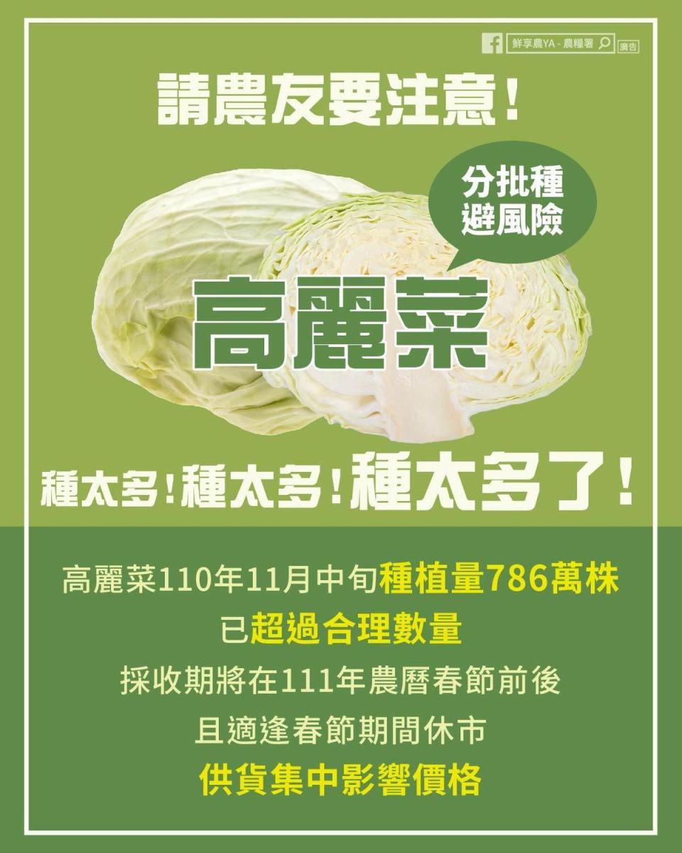 農委會農糧署今呼籲農民別再超種高麗菜，分散風險以確保合理收益。（農糧署提供）