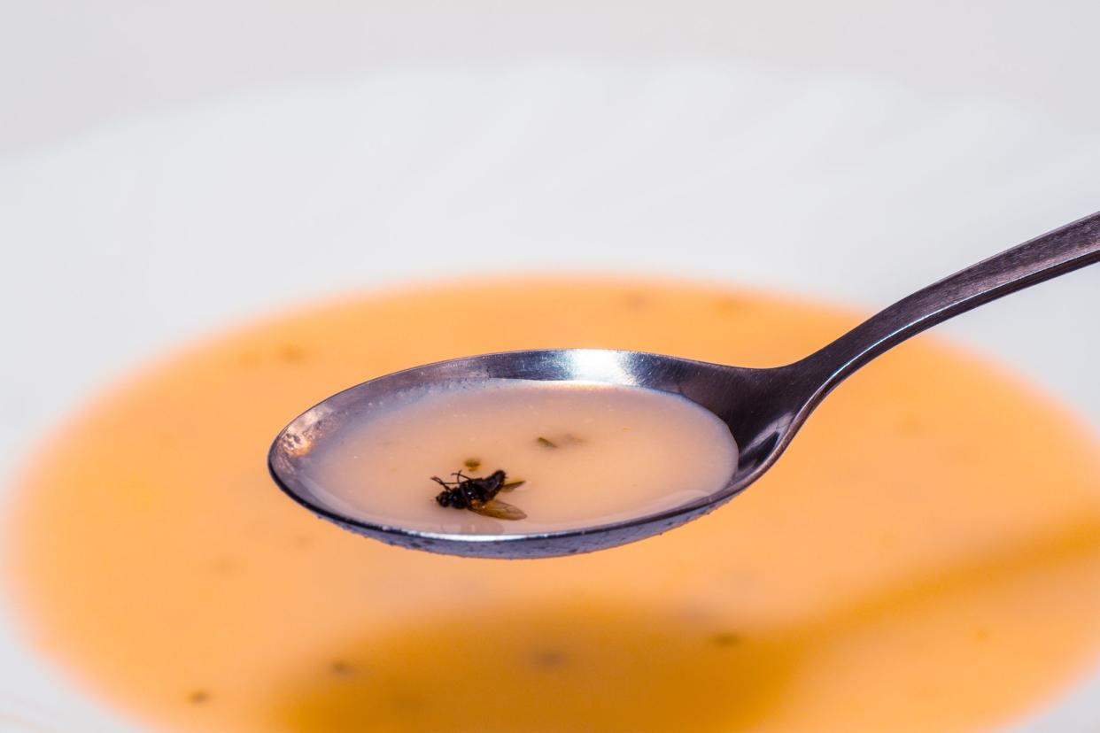 Large bowl of soup and a spoon and spoon right in the floating fly