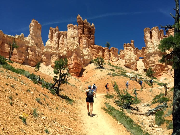 Hikers head up a trail in Bryce Canyon National Park on a Backroads trip.