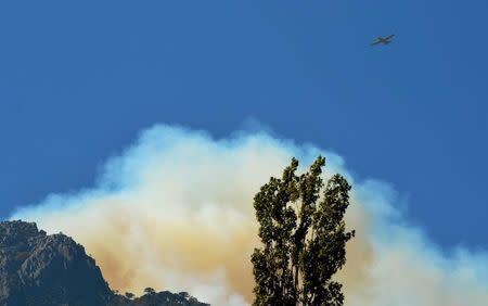 A plane flies over smoke while an area of natural reserve of "China Muerta" (Chinese Dead) burns during a wildfire inside Conguillio National Park in Temuco, March 21, 2015. REUTERS/Hector Andrade