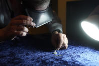 Metal detectorist Jim Bailey uses an optical magnifier while examining 17th century silver coins with Arabic inscriptions, Thursday, Oct. 27, 2022, in Warwick, R.I. Bailey, who found a 17th century silver coin with an Arabic inscription in the ground in Middletown, R.I., believes the coins were plundered in 1695 by English pirate Henry Every from Muslim pilgrims sailing home to India after a pilgrimage to Mecca. One coin at a time, the ground is yielding new evidence that in the late 1600s, every one of the world's most ruthless pirates wandered the American colonies with impunity. (AP Photo/Steven Senne)