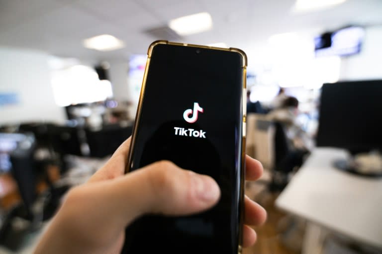 Social media app TikTok has come under scrutiny from the US government (Antonin UTZ)