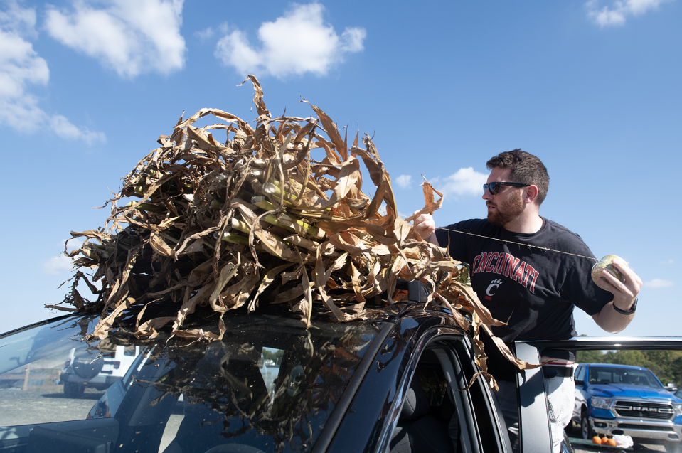 Zac Popik of Twinsburg ties cornstalks to the top of the vehicle at Dussel Farm in Brimfield on Oct. 3 The farm's annual Pumpkin Festival is underway.