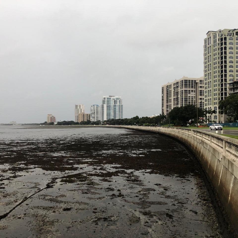 Images show the body of water looked like it had been drained. But as Hurricane Ian approaches, a storm surge can make the tide rapidly rise. / Credit: Tampa Police Department