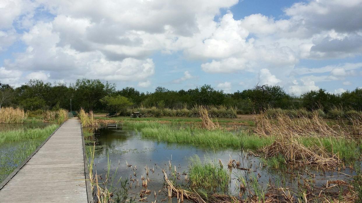 Estero Llano Grande State Park