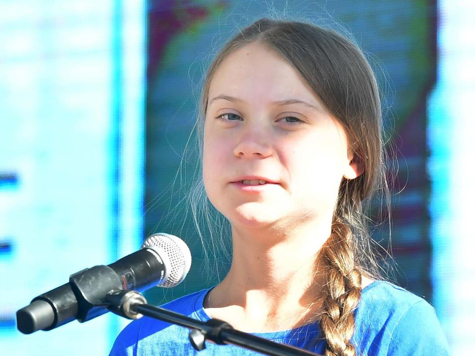 Teenage activist Greta Thunberg addresses the crowd while attending a climate action rally in Los Angeles, California, on 1 November 2019: AFP/Getty