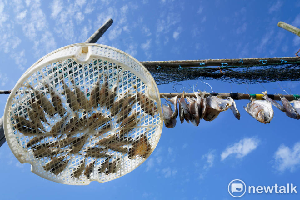 東莒冬季有不少海魚洄游至此，冬季冷冽乾燥的北風非常適合曬魚乾。   圖：張良一/攝