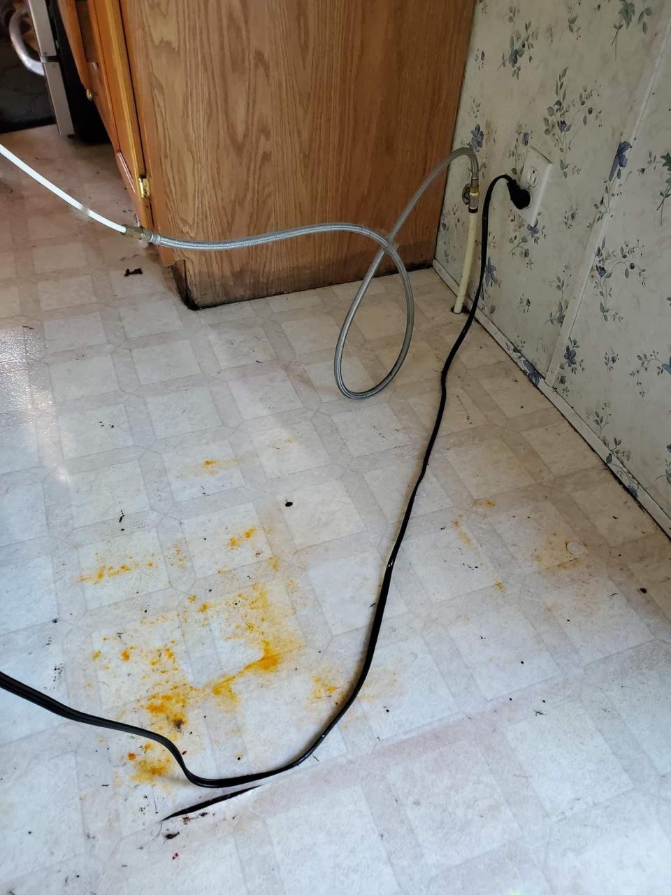 Jennifer Berg took this photo she says depicts water damage from her Samsung refrigerator.