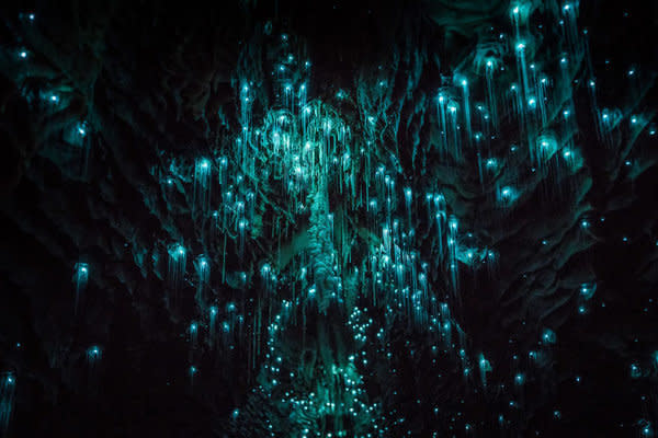 What's more otherworldly than&nbsp;<a href="http://www.huffingtonpost.com/2014/01/21/glow-worm-cave_n_4617320.html">that</a>?!