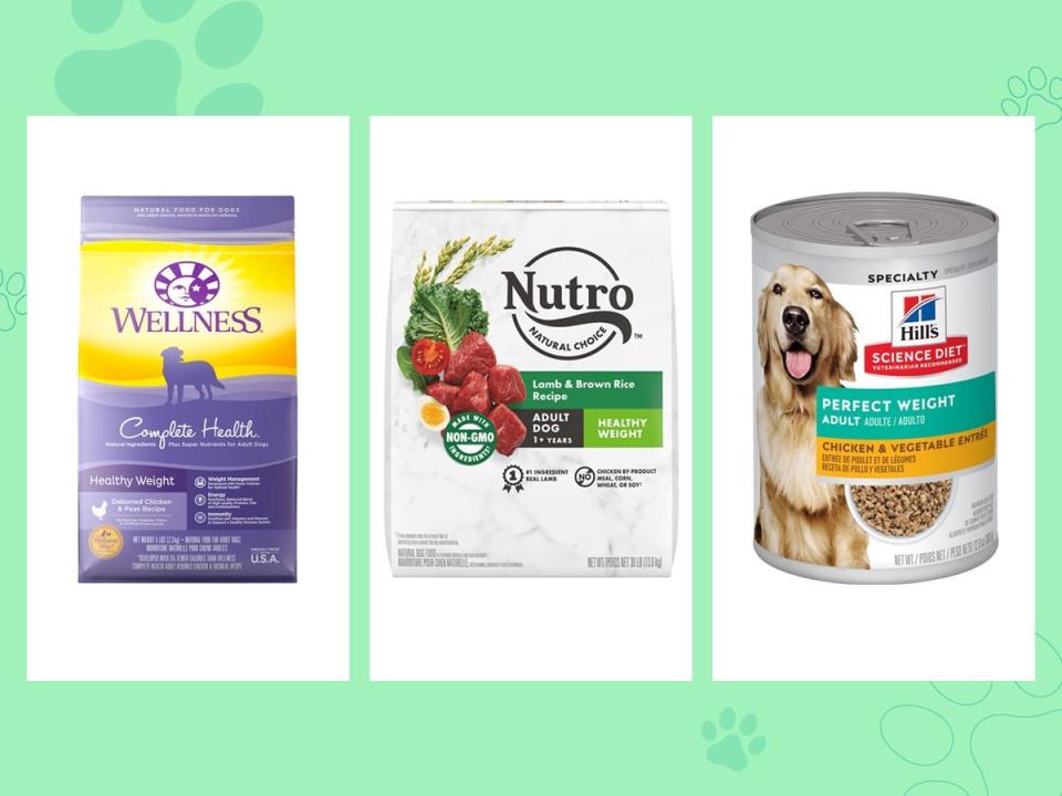 Three dog foods to lose weight, including Wellness and Nutro kibble and Hill's wet canned food, are on a green background.