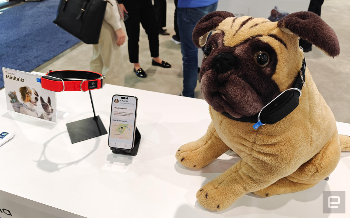 Invoxia announces smart dog collar to track heart activity