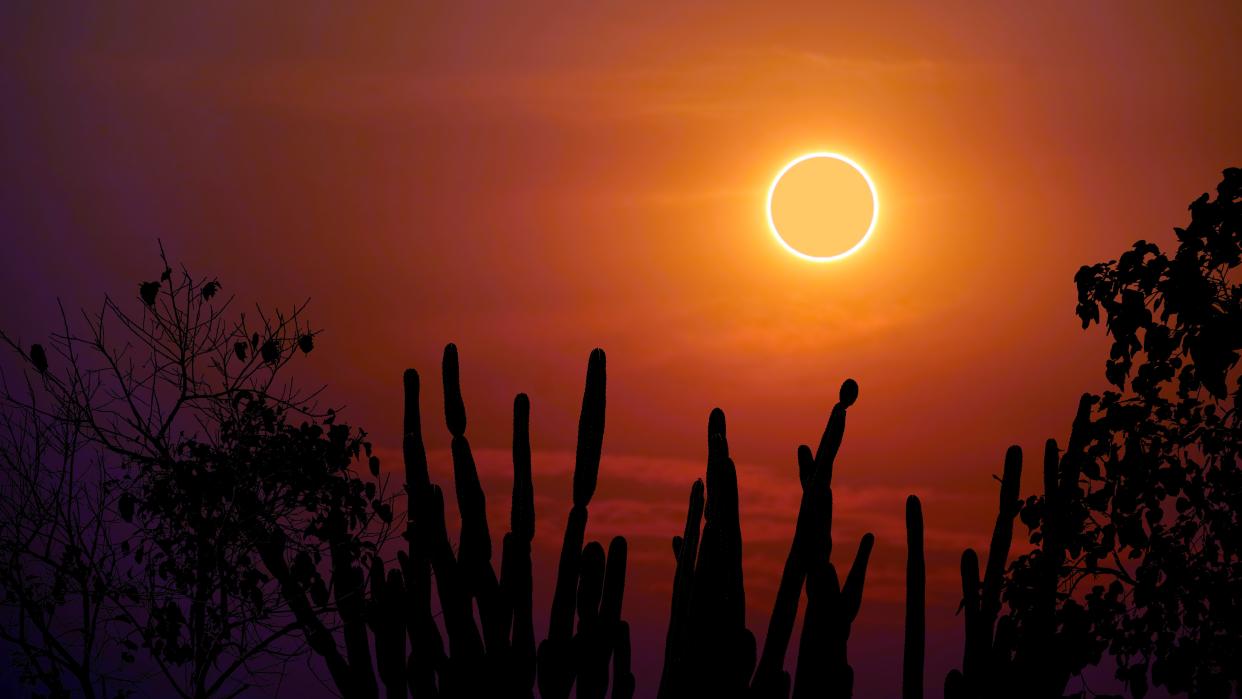  An annular solar eclipse showing a ring of orange in a hazy orange sky with cacti in the foreground. . 