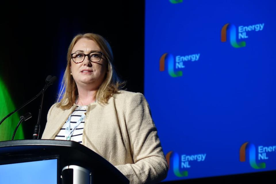 Newfoundland and Labrador Hydro CEO Jennifer Williams says they will act carefully but quickly to adapt to increase in demand for power that's expected in the next decade.