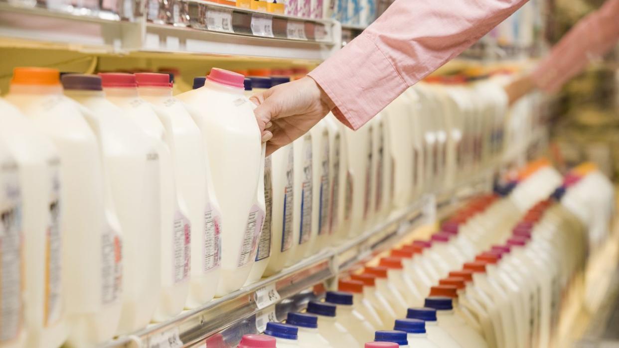 person lifting milk jug from dairy aisle shelf