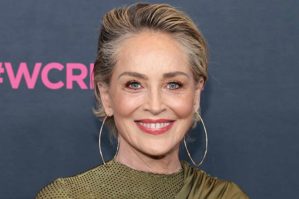 <p>Rodin Eckenroth/WireImage</p> Sharon Stone