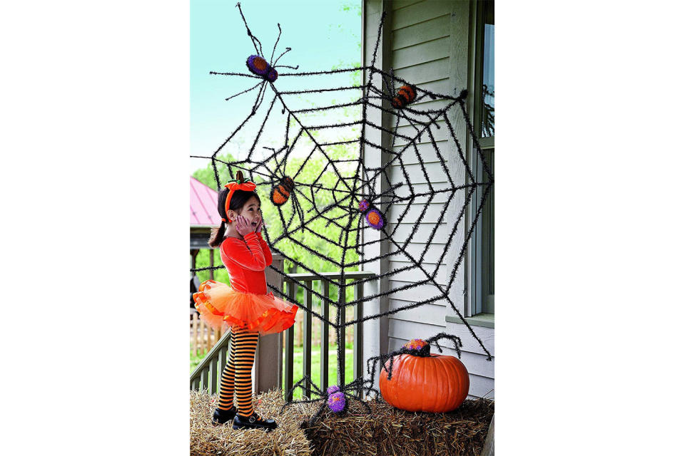 Giant Spider Web and Spiders