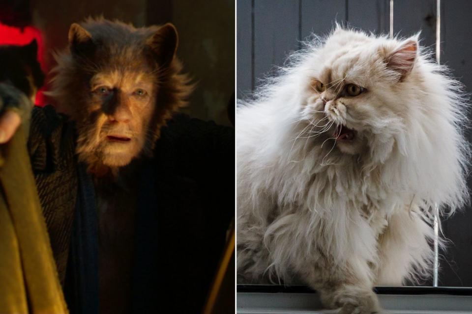 Ian McKellen as Gus the Theatre Cat v. This Cat Who Is All About the Drama