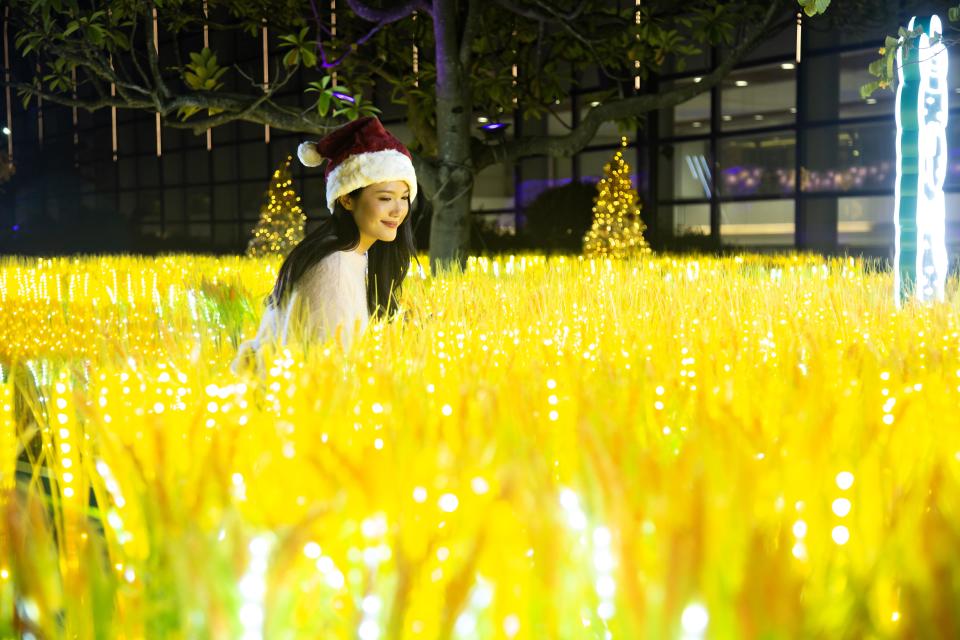 聖誕燈飾2022｜沙田新城市過百隻草泥馬可愛登場！2米高巨型草泥馬＋星空飄雪帳篷＋大玩互動遊戲與工作坊