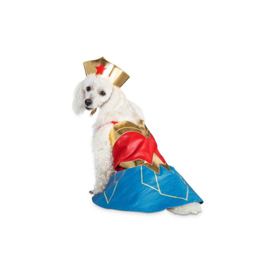 DC Justice League Wonder Woman Dog Suit