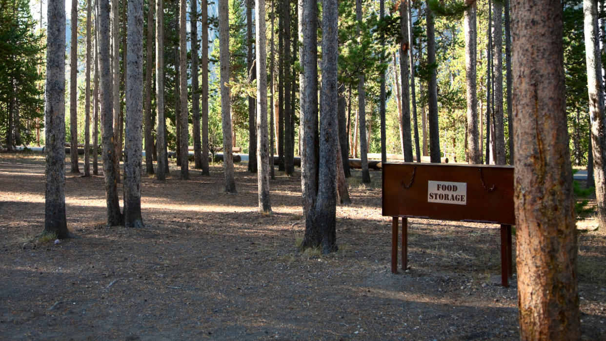  A bear box in a campground. 