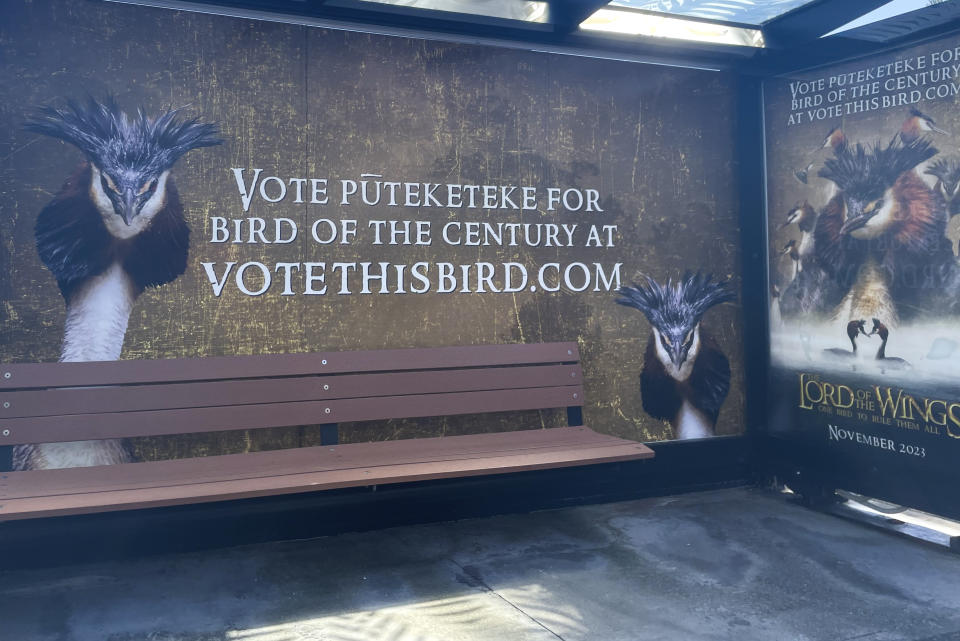 A billboard at a bus stop promotes comedian John Oliver's campaign for the puteketeke to be named New Zealand's Bird of the Century on Saturday, Nov. 11, 2023, in Wellington, New Zealand. Election organizers Forest & Bird have needed to delay announcing the winner because they have been deluged with votes since Oliver began his campaign. (AP Photo/Lillie Beliveau)