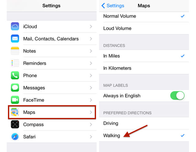 Apple Maps iOS