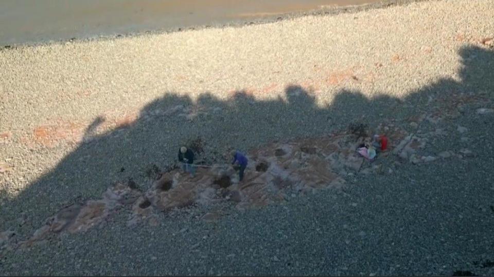 Zdjęcie lotnicze śladów stóp znalezionych przez Tegana na plaży w pobliżu Penarth w południowej Walii