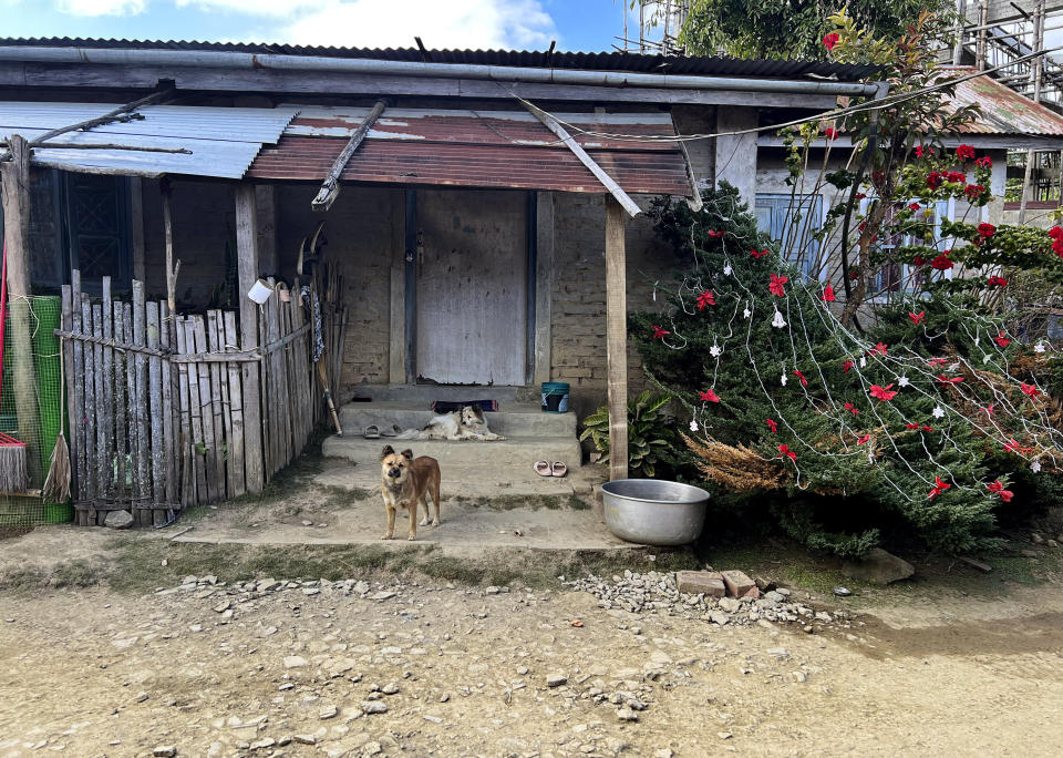 Dogs rest in front of a house with a tree decorated for Christmas in Shangshak village, in the northeastern Indian state of Manipur, Sunday, Dec. 24, 2023. Nagas are an indigenous people inhabiting several northeastern Indian states and across the border in Myanmar. In a largely Hindu country, most Nagas are Christians. (AP Photo/Yirmiyan Arthur)