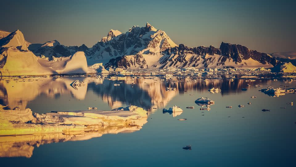 Sea ice around Rothera Point, on Adelaide Island to the west of the Antarctic Peninsula.  -Steve Gibbs/Bass